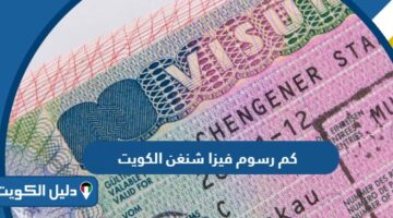 كم رسوم فيزا شنغن من الكويت 2025