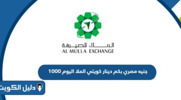 1000 جنيه مصري بكم دينار كويتي الملا اليوم